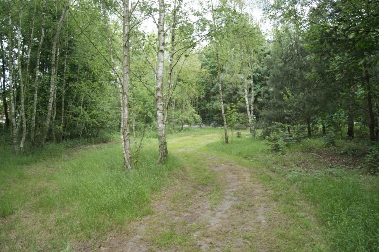 Camping Family Bronowice  Ngoại thất bức ảnh
