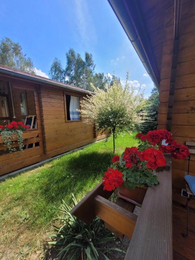 Camping Family Bronowice  Ngoại thất bức ảnh